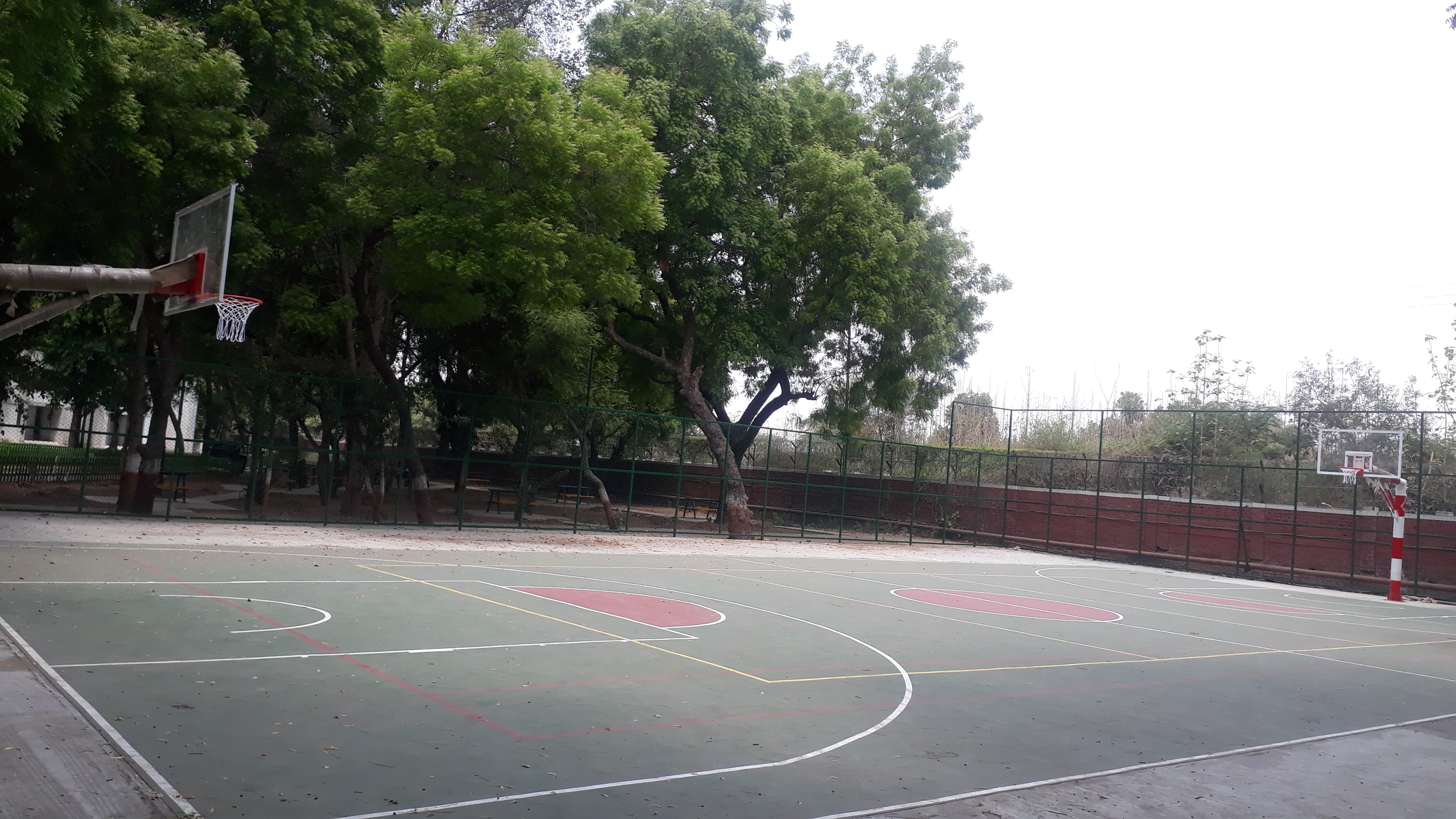 GSFC University Vadodara Sports photo 6